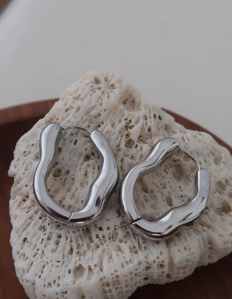 Stainless steel earrings