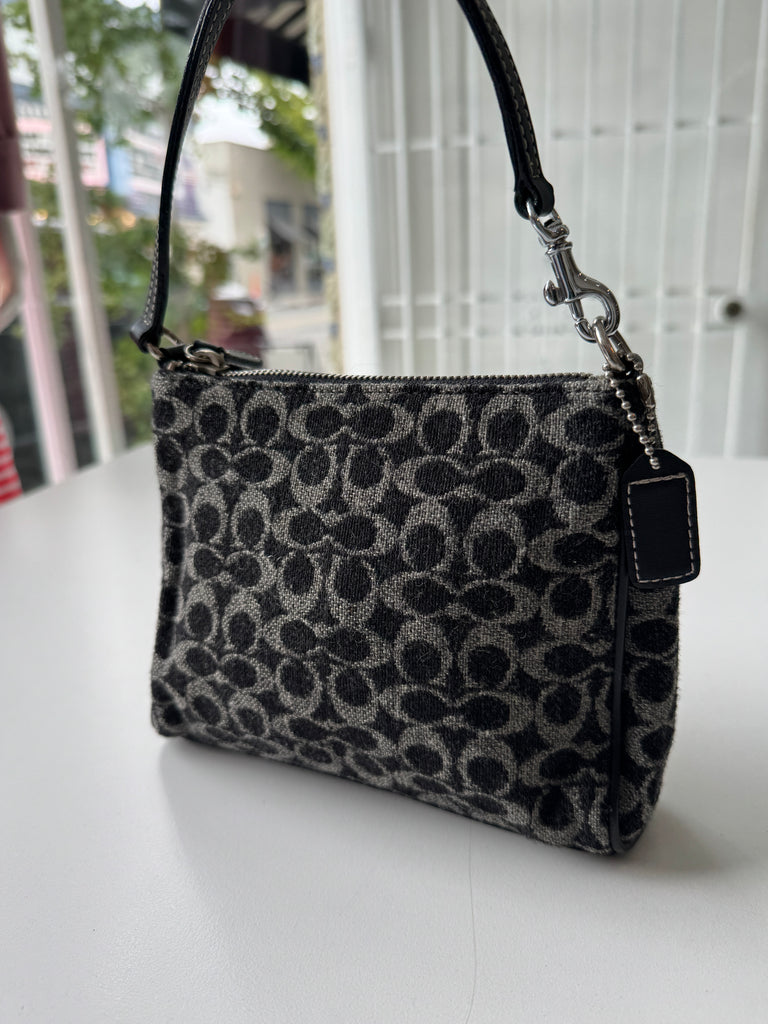 Mini coach bag