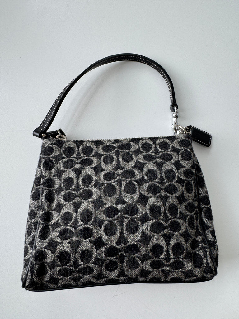 Mini coach bag