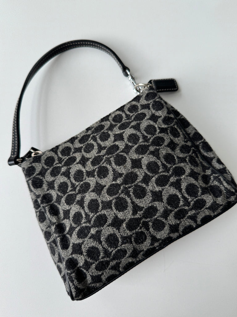 Mini coach bag