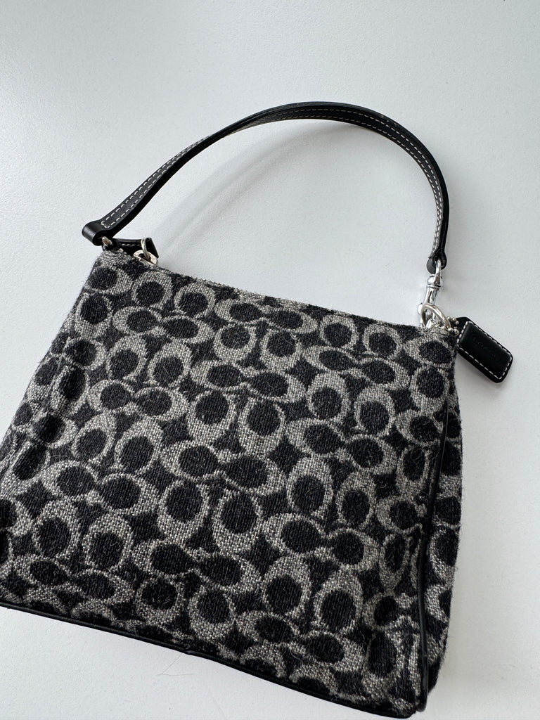 Mini coach bag